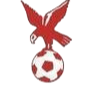 https://img.hong-ying.com.cn/img/football/team/4802d26df935b78bb2fcdbbff36e8864.png